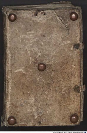 Constitutiones Hirsaugienses - BSB Clm 14442