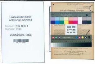 Entnazifizierung Ernst Wallhaeuser , geb. 06.06.1894 (Gaertner)