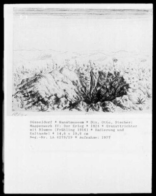 Mappenwerk IV: Der Krieg — Granattrichter mit Blumen (Frühling 1916)