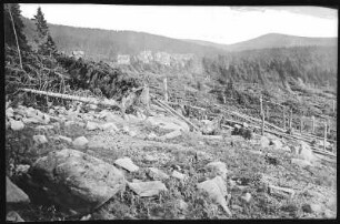 Schierke. Waldverwüstungen nach Gewittersturm