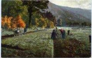 Feldarbeit im Herbst