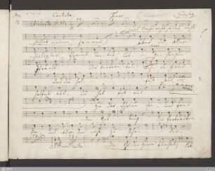 Tenor