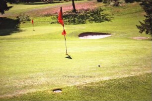 Golfclub Hamburg-Walddörfer e.V.: Golfplatz