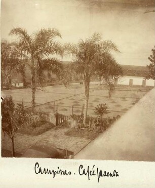 Campinas. Cafée Fazenda (Kaffee-Plantage)
