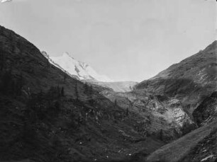 Großglockner : Baumgrenze des Großglockner