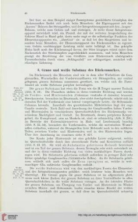 3. Graue und weiße Substanz des Rückenmarkes