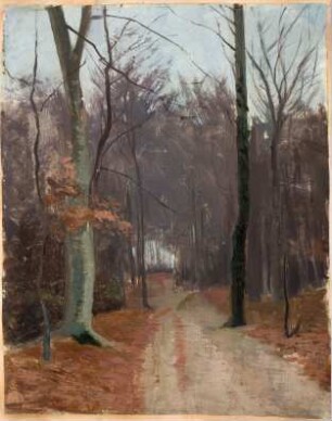 Waldweg im November