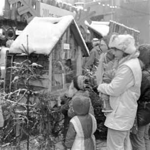 Schwarzenberg, Weihnachtsmarkt : Kinder vor einem Schaukasten