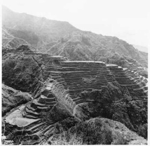 Reisterrassen bei Banaue (Philippinen)