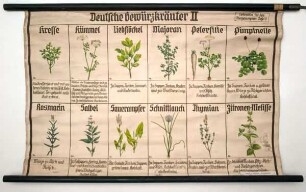 Deutsche Gewürzkräuter II