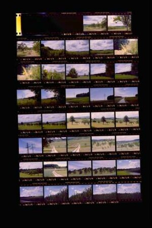 Landesschau-Bilder: Sommer