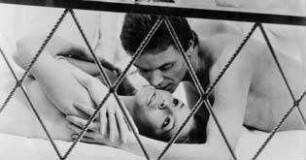 Oswalt Kolle: Das Wunder der Liebe
