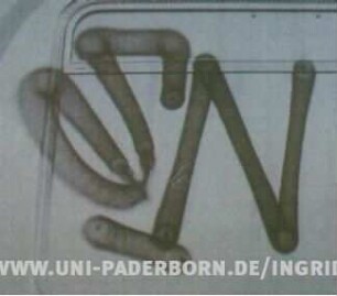 SN