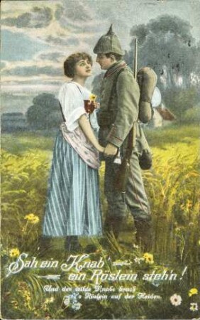 Sah ein Knab' ein Röslein steh'n - Und der wilde Knabe brach [...]