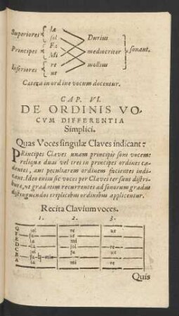 Cap. VI. De Ordinis vocum Differentia Simplici.