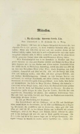 III.1. Die Cerreiche. Quercus Cerris. Lin.