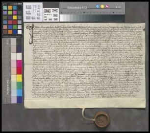 Alzey: Gültverschreibung des Johann Nomar von Gaulsheim über 100 fl. Hauptgeld an die kurfürstl. Landschreiberei