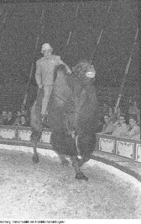 Dresden, Gastspiel des Zirkus Busch, Juni 1956