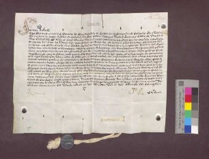 Von Rom konzipierte und übersandte Eidesformel für Beat Anton Münch von Münchenstein von Lewenburg, Dompropst zu Basel, gegenüber Papst Clemens XIII..