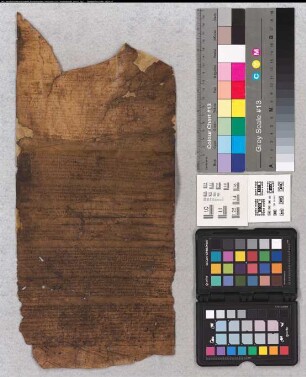 Fragment von dem Original der ältesten corveyischen Heberolle.