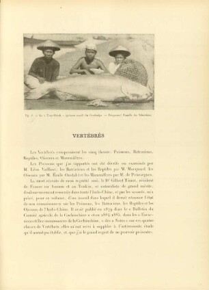Vertébrés