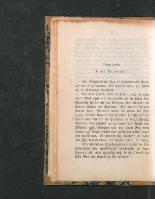 Drittes Kapitel. Eine Heimfahrt.