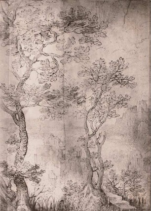 Landschaft mit hohen Bäumen