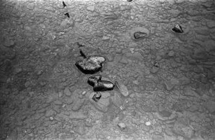 Ostrava : In Ostrava, an der Ostravica (?); Hommage à Yves Klein