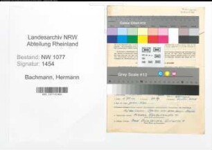 Entnazifizierung Hermann Bachmann , geb. 10.07.1905 (Polizist)