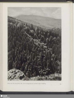Blick vom Hirschsteinfelsen über den Lauchagrund und auf den Großen Inselsberg