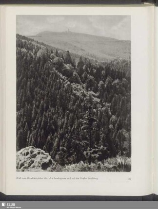 Blick vom Hirschsteinfelsen über den Lauchagrund und auf den Großen Inselsberg