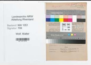 Entnazifizierung Walter Wolf , geb. 26.02.1890 (Kraftfahrer)