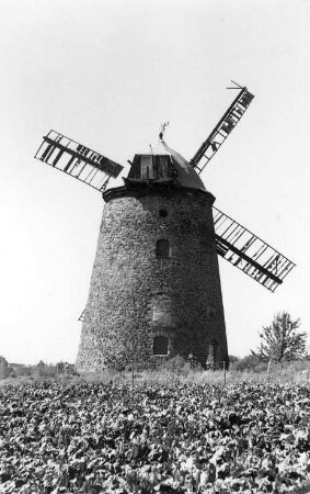 Niederndodeleben-Schnarsleben. Turmholländer, erbaut 1808-1810