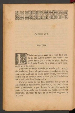 Capítulo X - Uma visita
