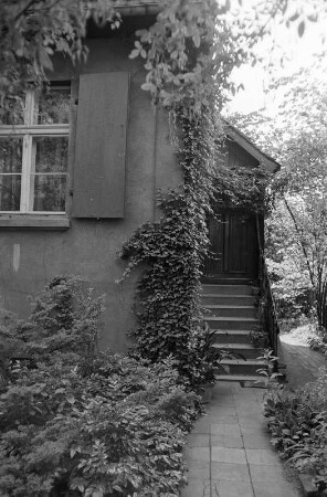 Blick auf ein Wohnhaus mit zugewachsenem Hauseingang, Dessau
