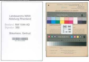 Entnazifizierung Gertrud Breumann , geb. 14.09.1902 (Dolmetscherin)