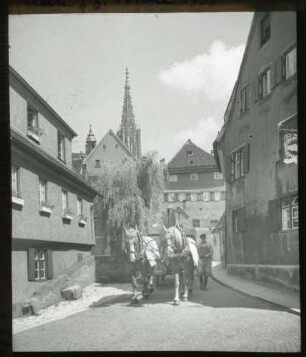 Zur Forelle