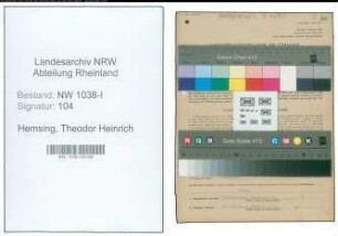 Entnazifizierung Theodor Heinrich Hemsing , geb. 06.11.1921 (Polizist)
