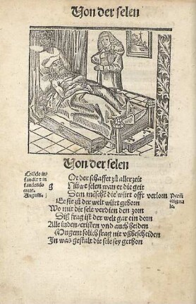 Von der sele