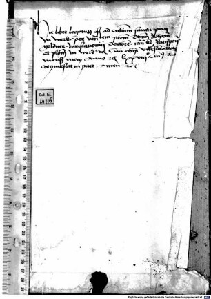Sermones in Epistulas dominicales et festivales - BSB Clm 14116