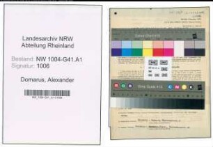 Entnazifizierung Alexander Domarus , geb. 01.05.1891 (Polizeibeamter)