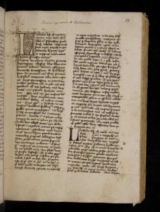 Sermones synodales