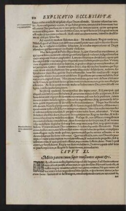 Caput XI.[-XII.]