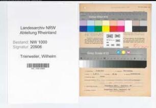 Entnazifizierung Wilhelm Trierweiler, geb. 30.08.1902 (Ingenieur)