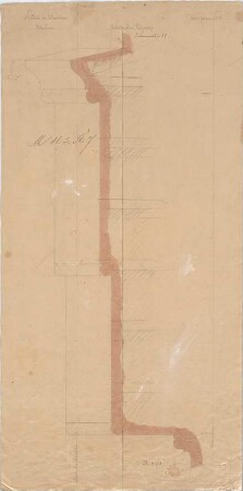 Voit, August von; München; Botanischer Garten - Architrav EG (Schnitt)