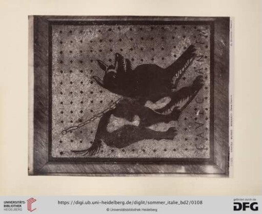 No. 10305 Napoli Museo Mosaico. Cave Canem