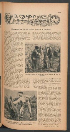 Conservación de los cardos durante el invierno : El campo y la chacra