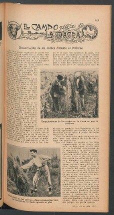 Conservación de los cardos durante el invierno : El campo y la chacra
