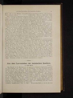 Aus dem Larvenleben der heimischen Insekten.