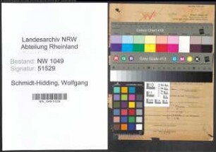 Entnazifizierung Wolfgang Schmidt-Hidding , geb. 27.02.1903 (Dozent)
